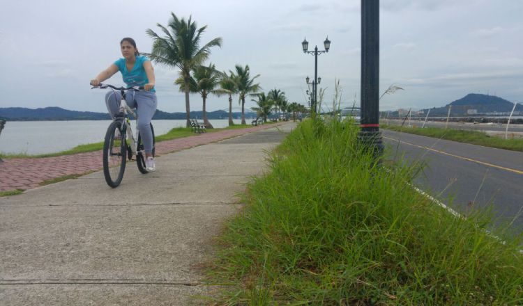 La poca afluencia de turistas en el Causeway ha hecho que los comerciantes disminuyan su mano de obra  contratada debido a sus bajas ganancias económicas. Archivo