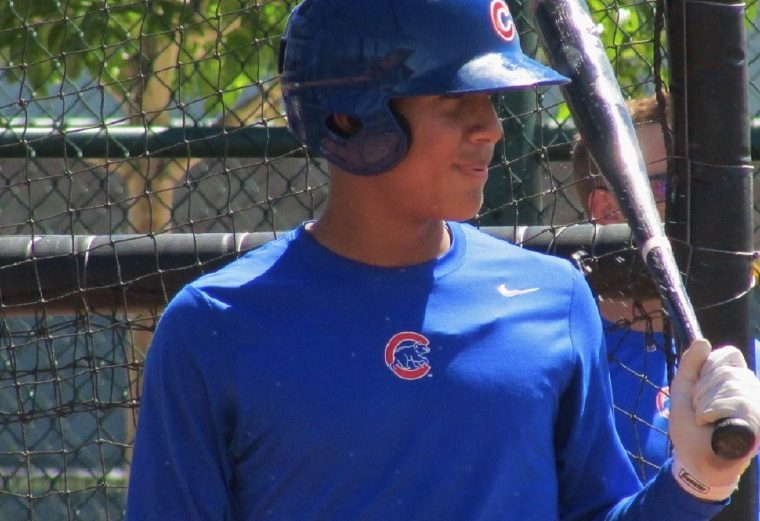 Miguel Amaya: El receptor santeño, de 17 años, firmó en el 2015 por un bono récord para un panameño de 1 millón 250 mil dólares. Batea .271 con el equipo Cubs2 de Chicago en la República Dominicana.