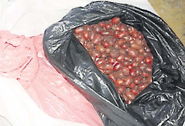 Ingenio delictivo de colombianos se extiende con facilidad a Panamá