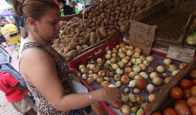 Consumidores pagan altos costos por una libra de cebolla importada, en los diferentes comercios. /Foto Archivo.