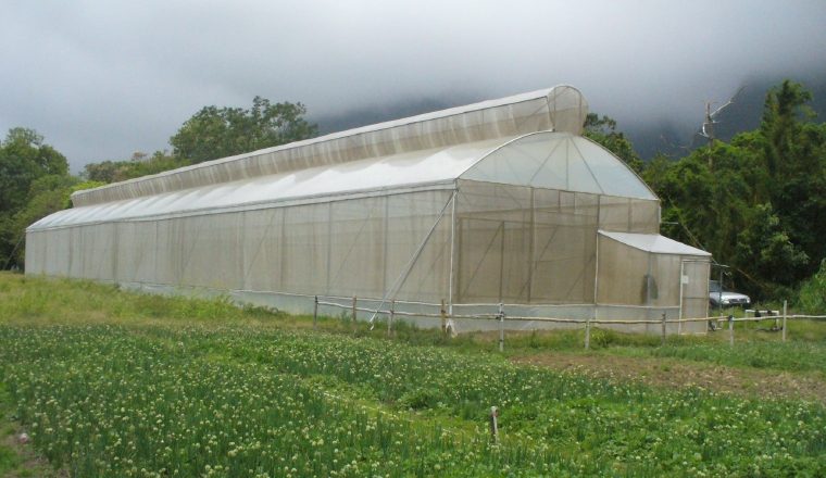 Competitividad y tecnología: Según el presidente de la Cámara de Comercio, es importante dotar de recursos necesarios para hacer las inversiones que mejoren los centros de capacitación agropecuaria y dar apoyo a los técnicos del Mida para que puedan guiar a los productores.