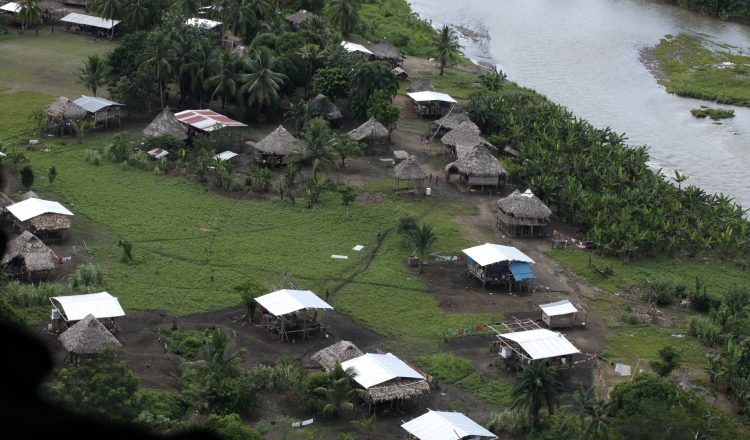 Declarado como patrimonio de la humanidad, parque nacional de Darién ha sido protegido debido a su riqueza forestal, entre otras.  Archivo
