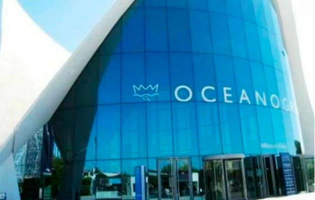 Oceanografía, proveedora de servicios de reparación y mantenimiento a pozos de Pemex, fue investigada por utilizar presuntos documentos falsos/Cortesía.