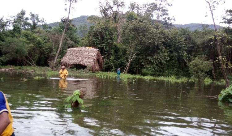 Según los dirigentes indígenas abandonan casas a las cuales va llegando al agua. /Foto Mayra Madrid