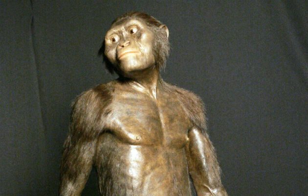 Es uno de los fósiles más antiguos del mundo. Foto/ AP