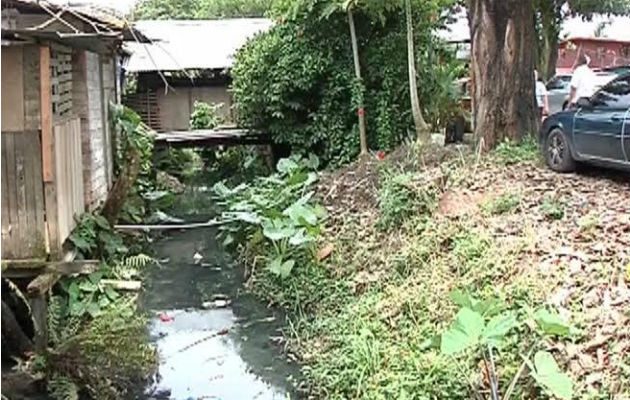 Hay que evitar los criaderos. Foto: Leonardo Machuca. 