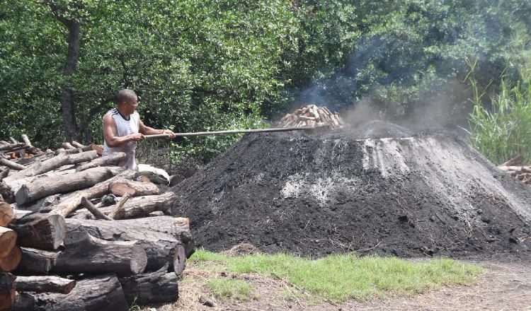 Las familias sostienen que si se dedican a otra actividad, no ganarían lo mismo que con el carbón. /Foto Eric A. Montenegro