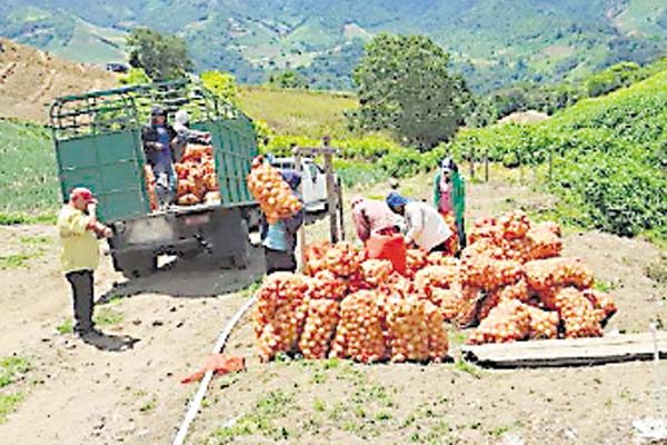 Instan al IMA a  ser un aliado del sector  productor  y no un competidor