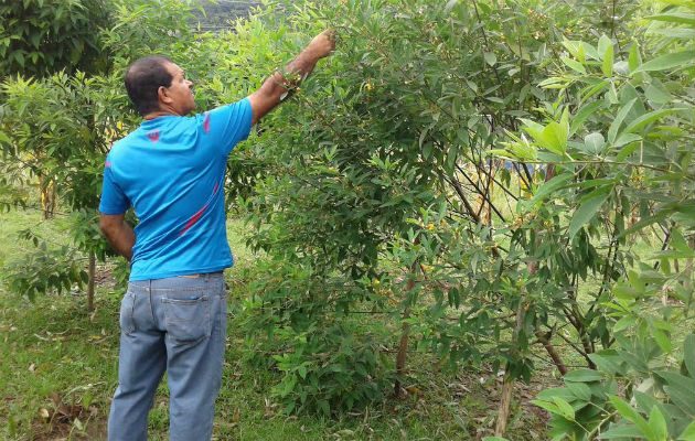 Foto: Eric Ariel Montenegro.