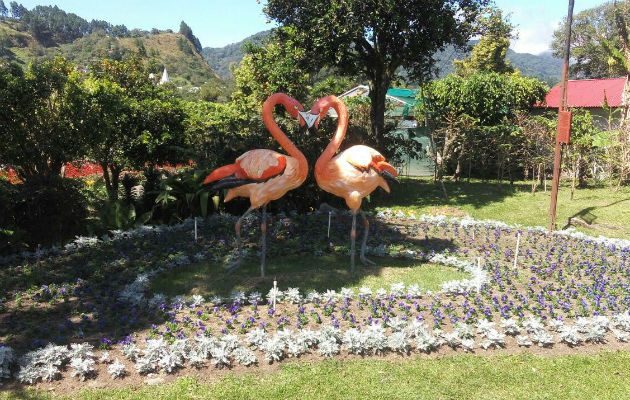 Feria de las Flores y el Café. Foto: José Vásquez.   