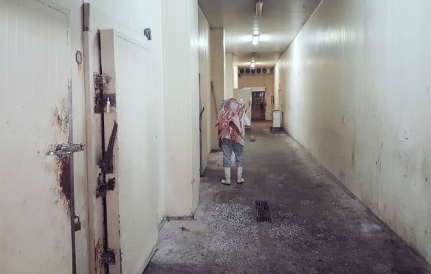 Cuartos fríos serán remodelados. Foto/Cortesía