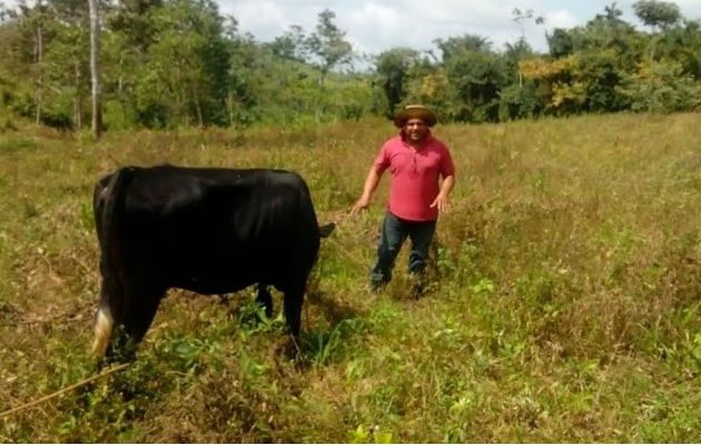 Foto: Eric Ariel Montenegro.