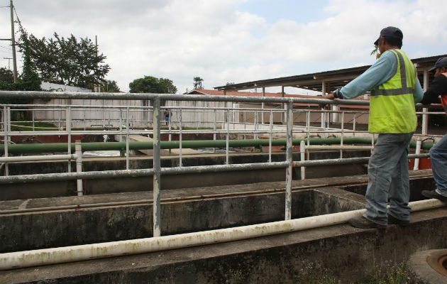 Personal realizando sus labores. Foto: Eric Ariel Montenegro. 