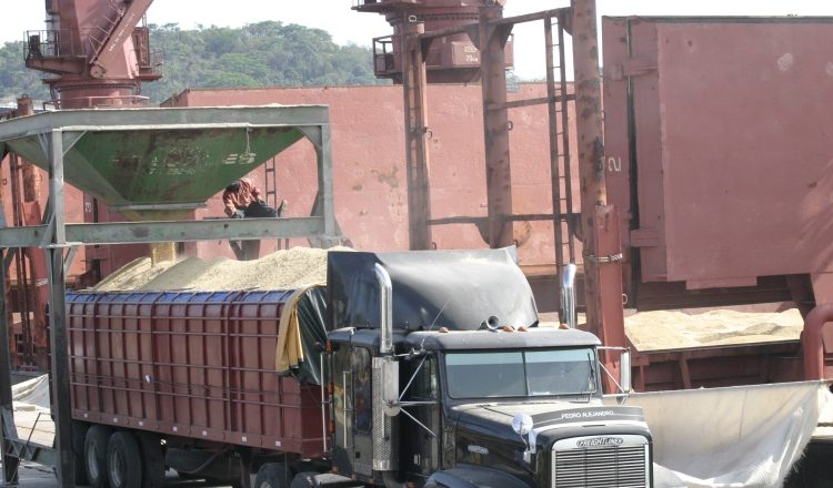 Los productores aseguran que  en varias instalaciones del Estado se almacena arroz importado. Archivo