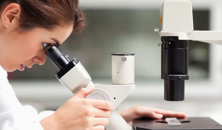 De acuerdo a investigaciones registradas durante 2010-2016, el 48% fueron inscritas por mujeres. /Foto Archivo 