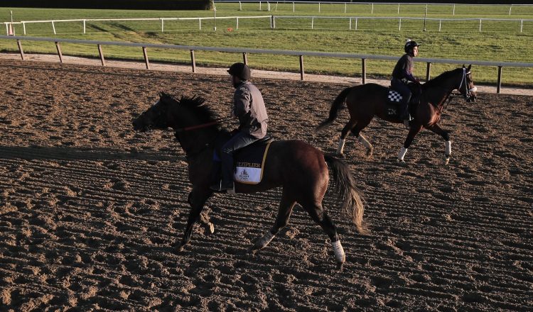 Ejemplares durantes sus jornadas de entrenamientos. AP