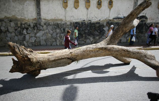 Utilizaron árboles como barricadas. Foto/ AP