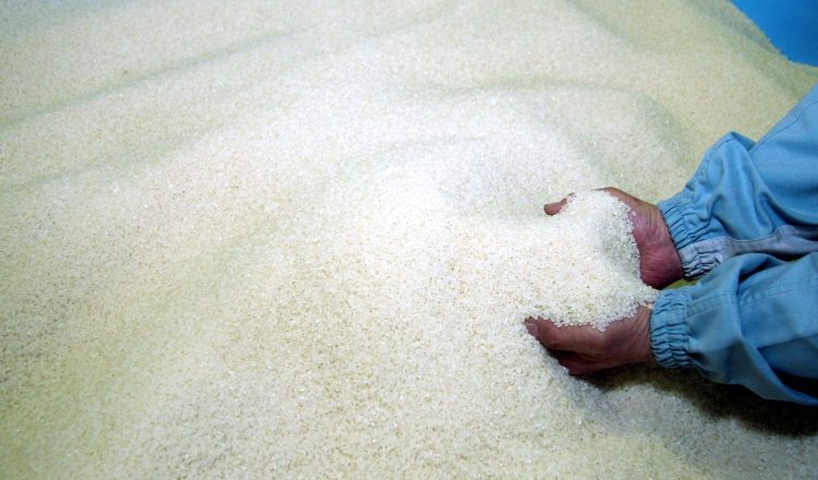Piden al IMA que verifique la calidad del arroz que compra. /Foto José Vasquez