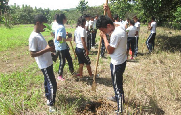 Estudiantes tuvieron una masiva participación en la siembra de plantones. Foto: Cortesía
