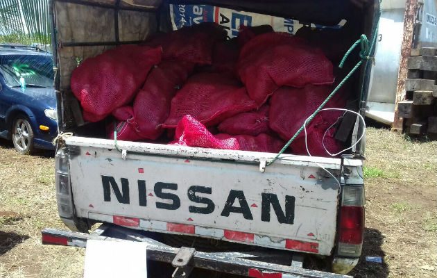 Se presume que el ñame fue transportado desde la provincia de Darién.