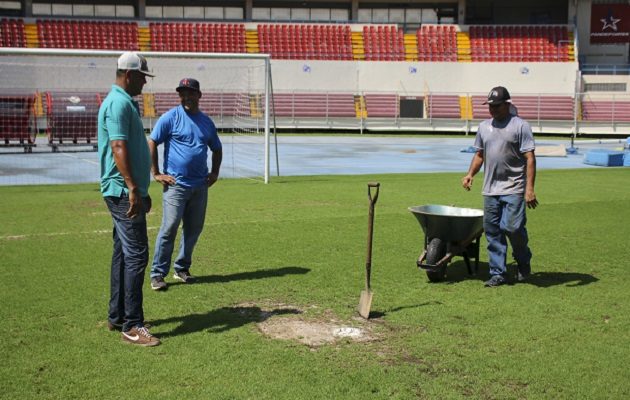 Se fumigará la grama para evitar la propagación de los hongos.