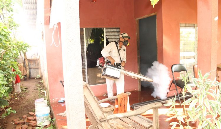 Se sigue nebulizando en las áreas donde se detectan los casos de dengue, pero esto no es suficiente. /Foto José Vásquez 