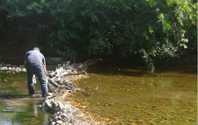 La a aportación de agua estuvo por debajo del mínimo requerido. Foto: Thays Domínguez