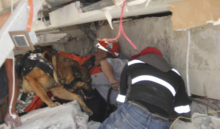 En la escuela Enrique Rebsamen murieron unas 26 personas, entre ellas 19 niños. /Foto AP