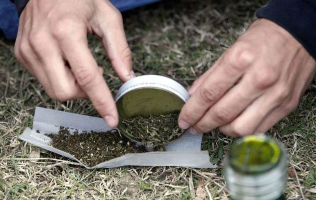 La marihuana ayuda a aliviar el parkinson. Foto/ EFE