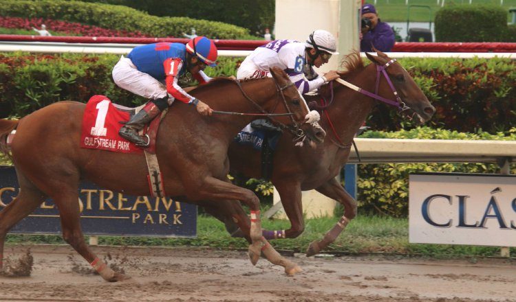 Tigre Mono (3), con la monta del puertorriqueño Jhon Velázquez, sorprende a Arquitecto. @GulfstreamPark