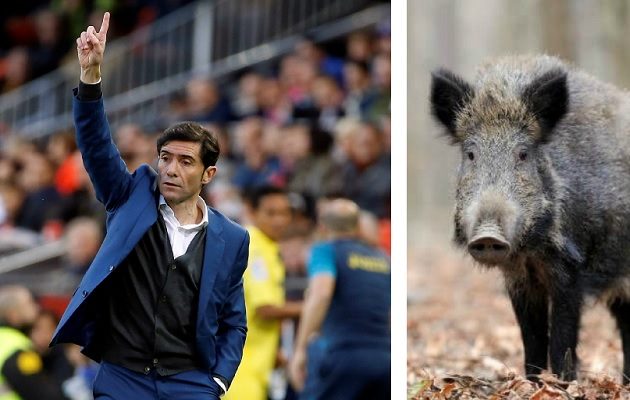 El técnico agradeció la preocupación de los fanáticos. 