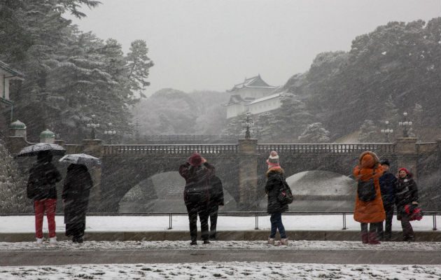Nieva con fuerza en Tokio, Japón. Foto: EFE 