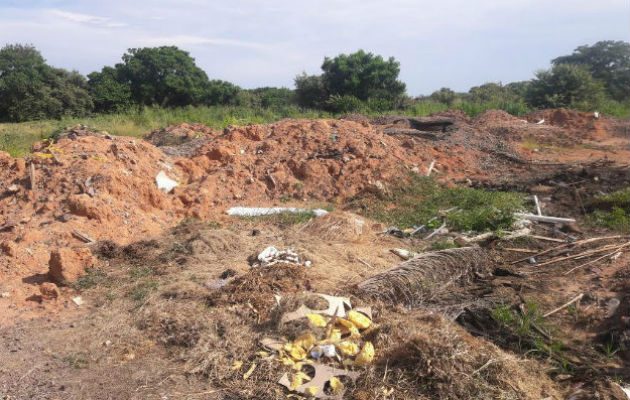 Lugar donde fueron encontrados los restos. Foto: Elena Valdez. 