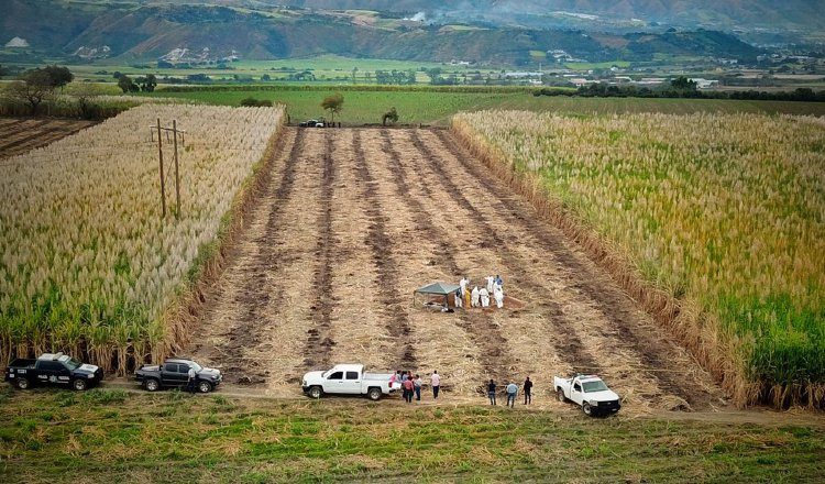 Encuentran cadáveres. EFE
