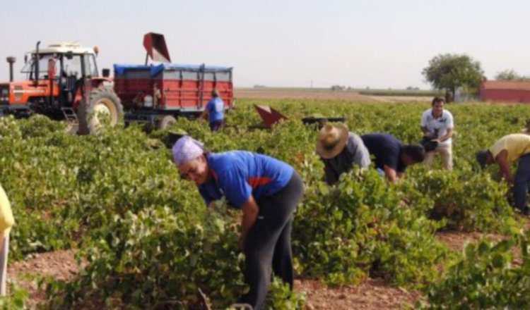 Ayudará a los productores. /Foto Tomada de internet