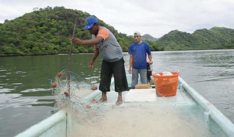 La exportación de pescado y filete de pescado reportó un crecimiento de 1.2% de enero a diciembre. Archivo