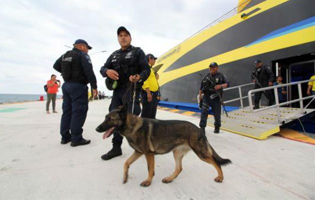Realizan revisiones a turistas en Playa del Carmen. Fotos: EFE 