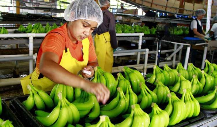 $13.7 millones más en ventas. /Foto Cortesía