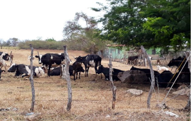Vienen meses difíciles. Foto: Thays Domínguez. 