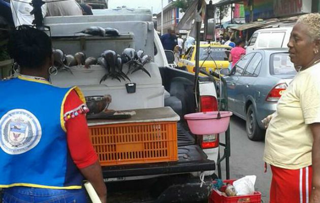 Instante que inspeccionan un puesto de venta de mariscos en la ciudad de Colón. Foto: Diómdes Sánchez