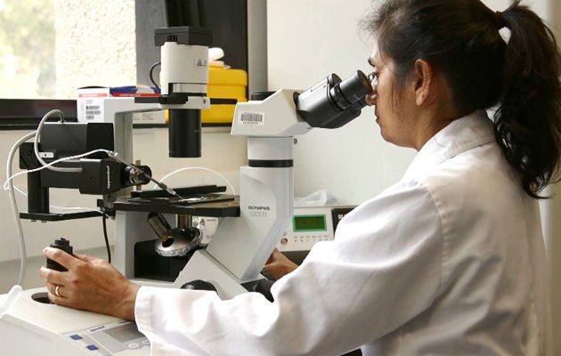 Los investigadores hacen un llamado de atención a los médicos. FOTO/EFE