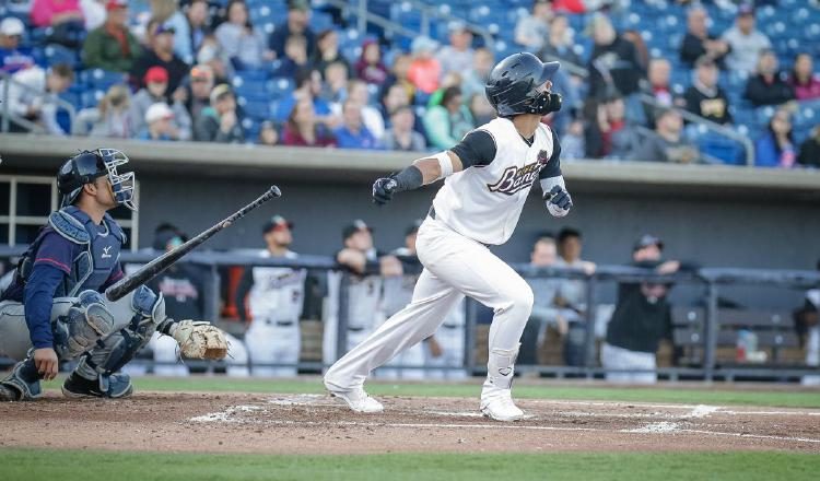 Jonathan Araúz ha conectado cuatro cuadrangulares esta temporada con los Bandits. /Foto MILB