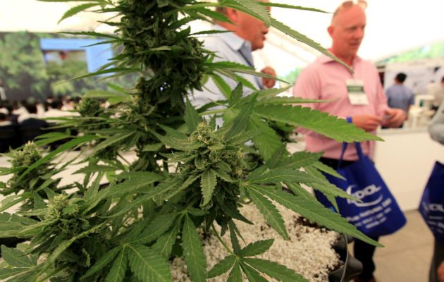 Reunión del "CannaMéxico World Summit. FOTO/EFE