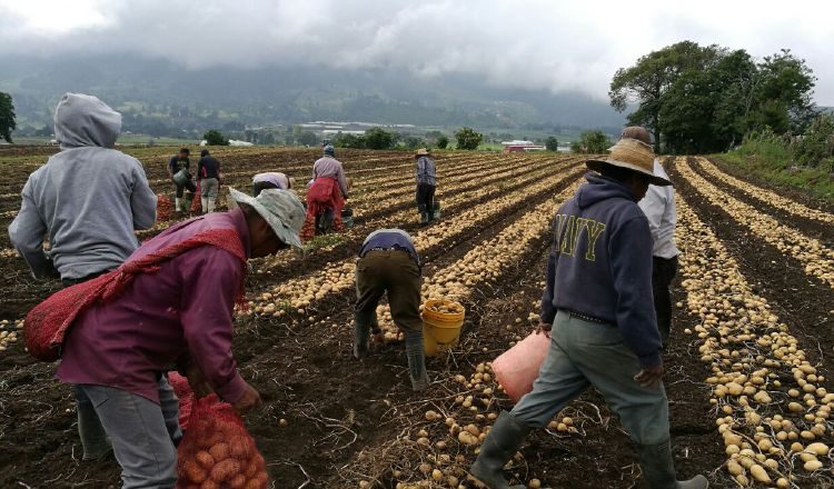 En riesgo el patrimonio de productores ante las importaciones en el país. Archivo