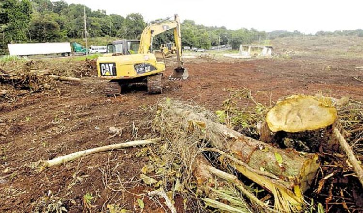 En el caso de Arraiján, el estudio de impacto ambiental fue realizado por la empresa URS Holding, contratada por el MOP, exclusivamente para esa labor. /Foto: Archivo