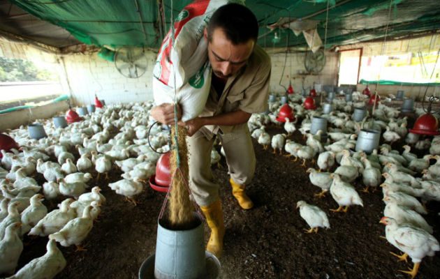 Importaciones también los afectan