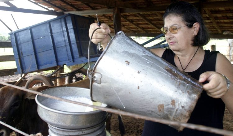 Se tiene contemplado extender por 6 meses más el incentivo de los 6 centavos por litro