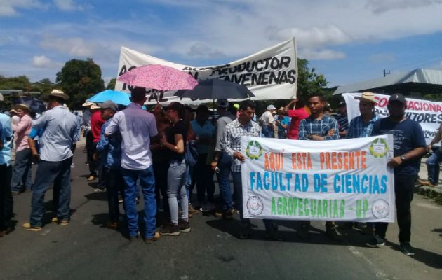 Los productores han dejado su posición clara al gobierno. Foto: Thays Domínguez.