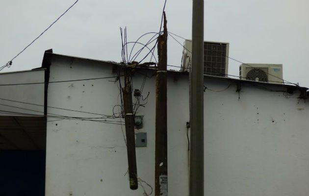 La condición del poste, provocó que el mismo se fracturara. Foto: Thays Domínguez.