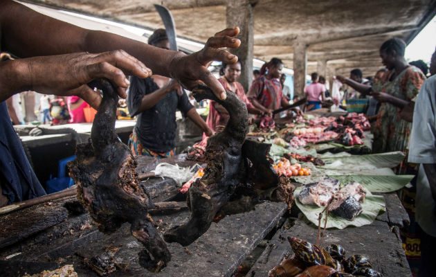 El ébola es una amenaza constante en la RDC"